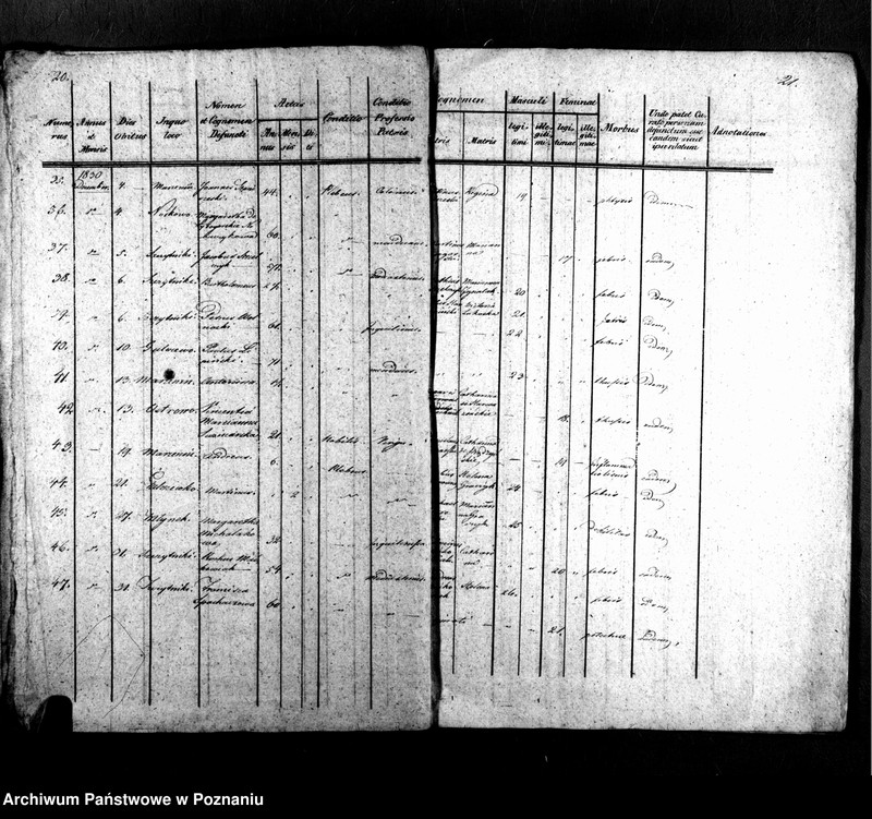 Obraz 14 z jednostki "Libri metrices baptisatorum, desponsatorum, mortuorum"