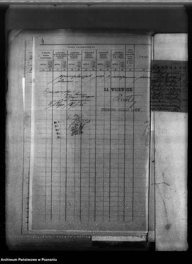 Obraz 8 z jednostki "Majętność leśna Linie w powiecie nowotomyskim"