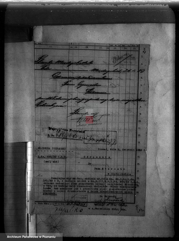 Obraz 6 z jednostki "Majętność Wituchowo w powiecie międzychodzkim"