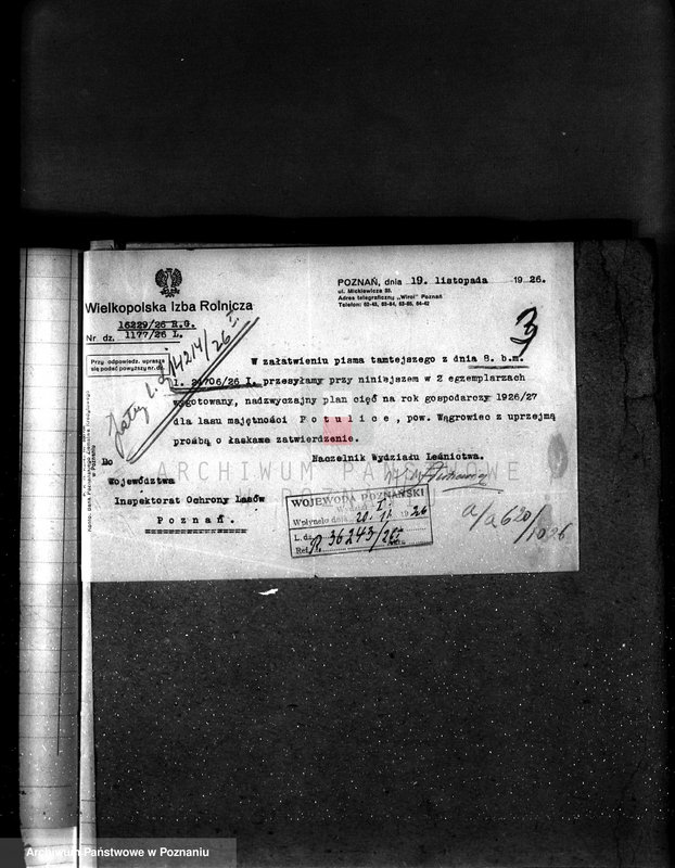 Obraz 7 z jednostki "Majętność leśna Potulice powiat wągrowiecki"