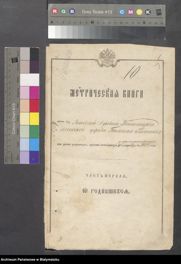Obraz z jednostki "Metričeskaja kniga dannaja iz Litowskoj Duchovnoj Koncictorij Łosinskoj cerkvi Belskogo błogočinija diez zapisi dlja zapisi rodivšichsja, brakom sočetavšichsja i umeršich na 1884 god"