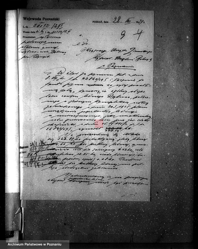 Obraz 13 z jednostki "Majętność leśna Dębowo powiat wyrzyski"