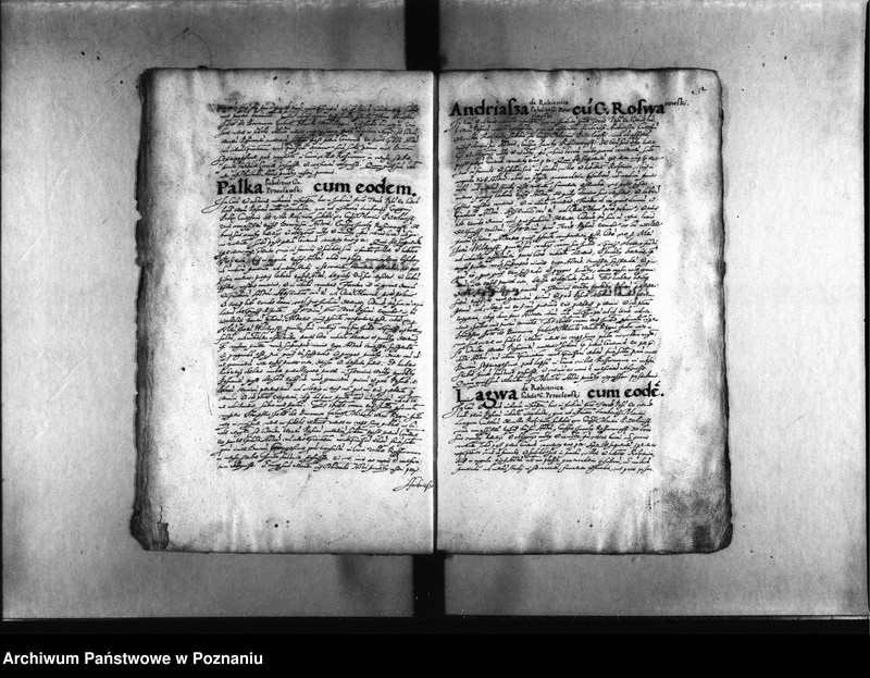 Obraz 8 z jednostki "Decreta [inducta]"