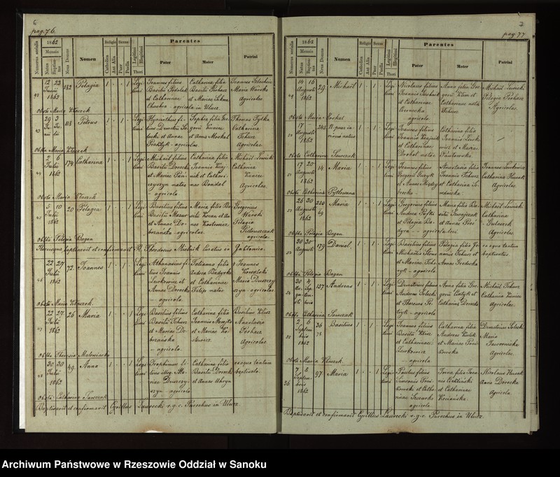 image.from.unit.number "Księga urodzeń, małżeństw, zgonów dla miejscowości Ulucz, Horoszówka (Hroszówka)"