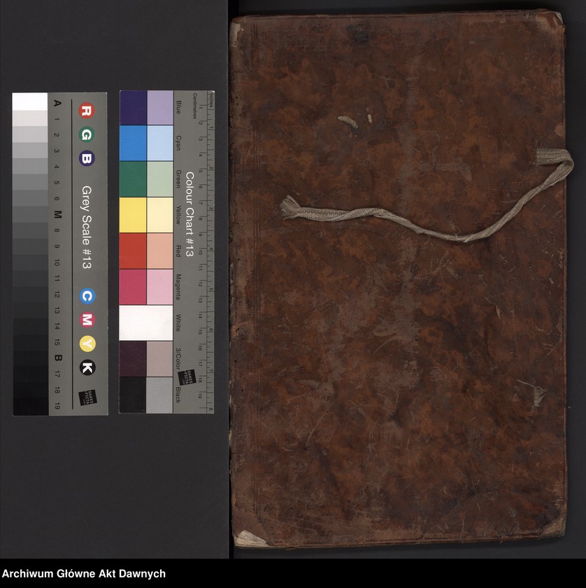 image.from.unit.number "Rejestry poborowe woj. ruskiego."