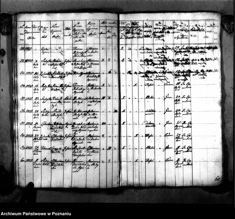 image.from.unit.number "Duplikat urodzeń, małżeństw i zgonu"