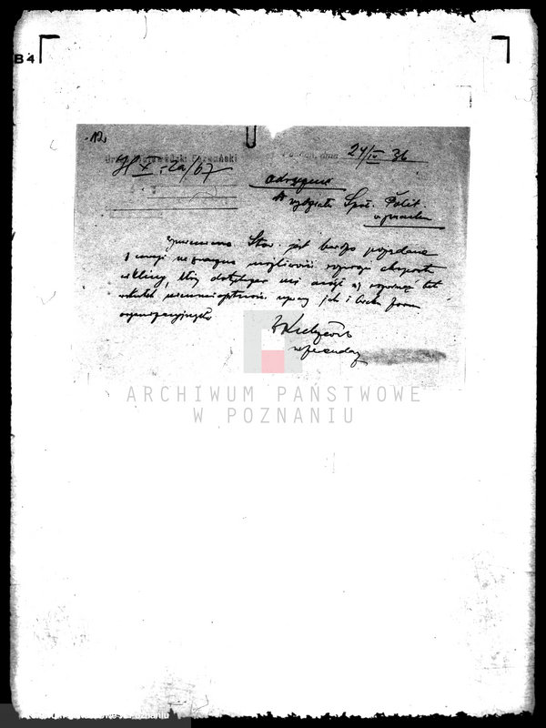 Obraz 16 z jednostki "/Stowarzyszenie Plantatorów Wikliny Wiklina Koszykarska/"