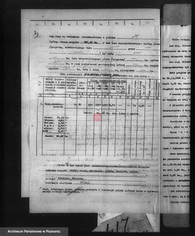 Obraz 7 z jednostki "Nadzór nad gospodarką w lasach majątku Billczew-Kowalew powiat obornicki"