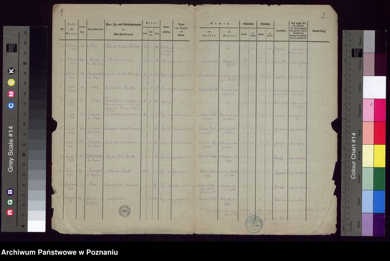 Obraz 3 z jednostki "Todesfaelle"