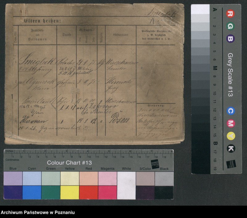 Obraz 6 z jednostki "Śmiglak - Smolik"