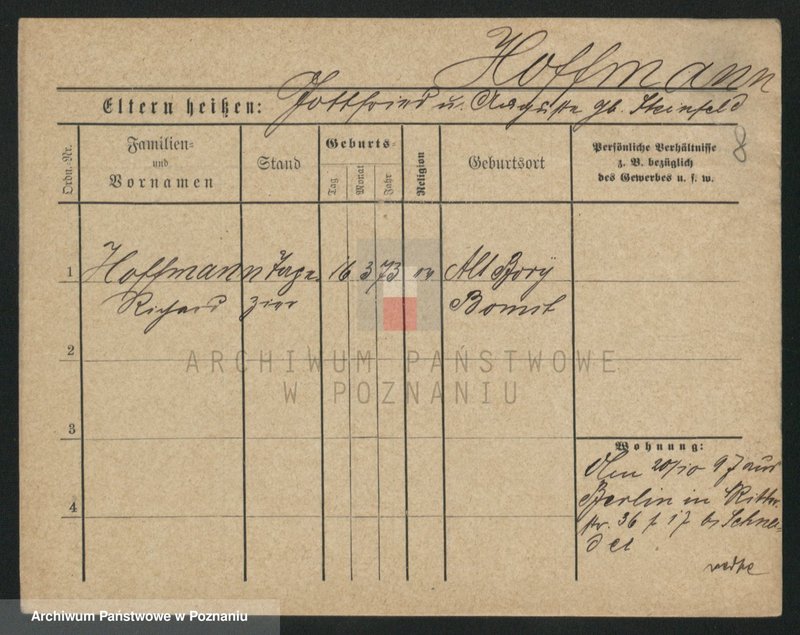 Obraz 8 z jednostki "Hofman (samotni mężczyźni)"