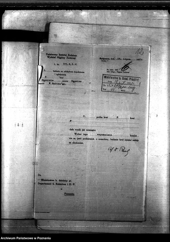 Obraz 16 z jednostki "Nosacizna - Sempolno"