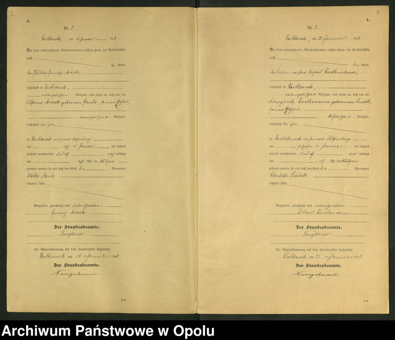 image.from.unit "Geburts-Register (Neben-Register) Standesamt Roschkowitz 1911 No.1 bis 49"