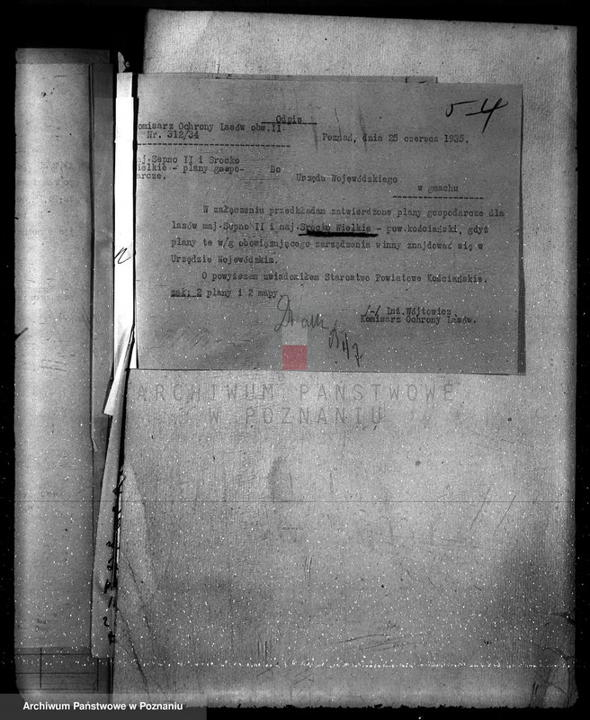 Obraz 9 z jednostki "Majętność leśna Srocko-Wielkie powiat kościański"