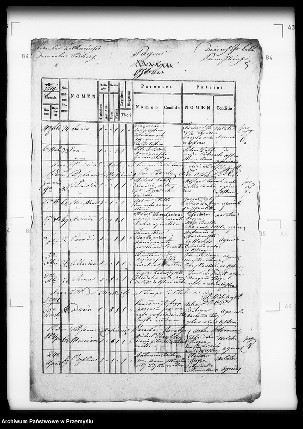 Obraz 9 z jednostki "[Kopie ksiąg metrykalnych parafii Boratyn z filią Ostrów (dekanat Bełz)]"