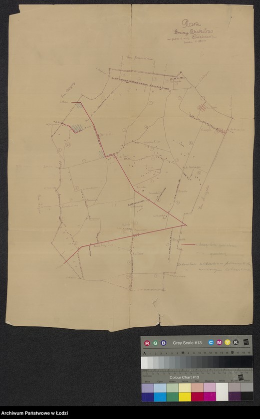 Obraz 1 z jednostki "Plan gminy Wiskitno w powiecie i województwie łódzkim"