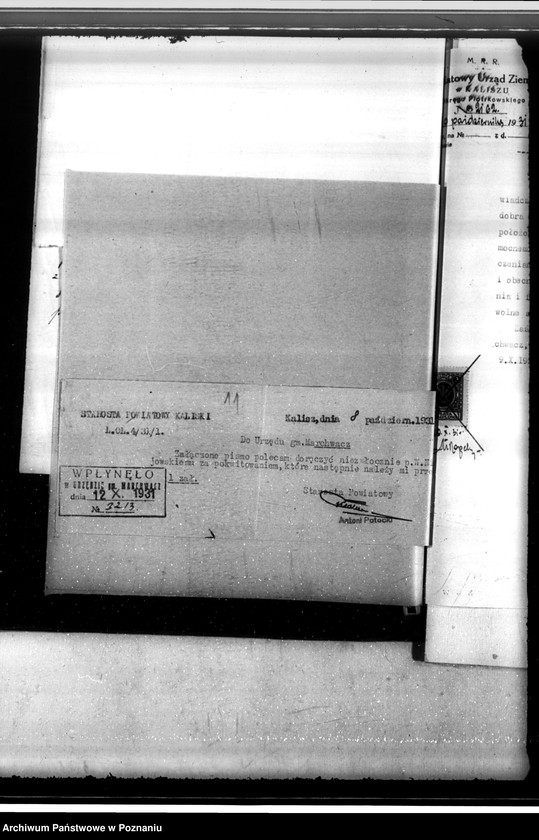 Obraz 15 z jednostki "Zatwierdzenie projektu planu gospodarstwa leśnego dla lasów majątku Marchwacz powiatu kaliskiego"