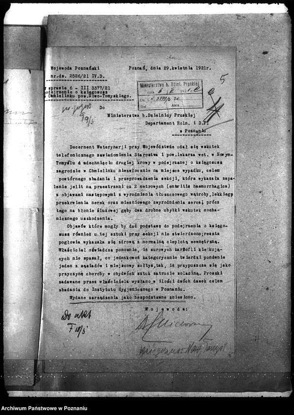 Obraz 9 z jednostki "Księgosusz - Nowy Tomyśl"