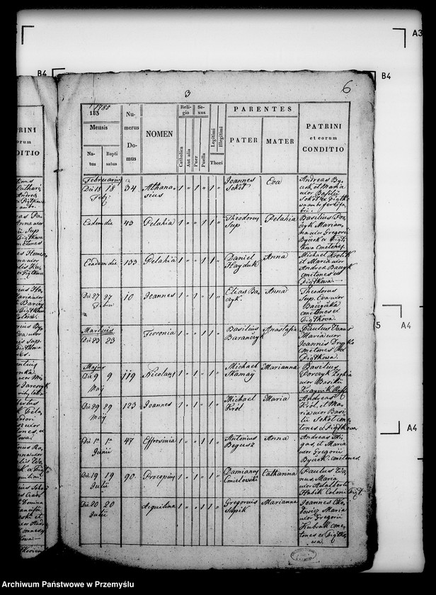 image.from.unit.number "[Kopie ksiąg metrykalnych parafii Piątkowa Ruska (dekanat Bircza)]"