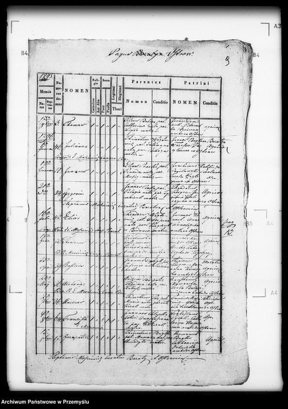 Obraz 13 z jednostki "[Kopie ksiąg metrykalnych parafii Boratyn z filią Ostrów (dekanat Bełz)]"