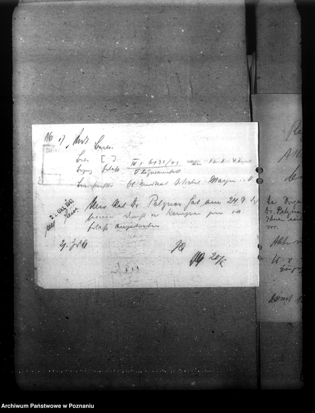 Obraz 20 z jednostki "Medizinalräte"