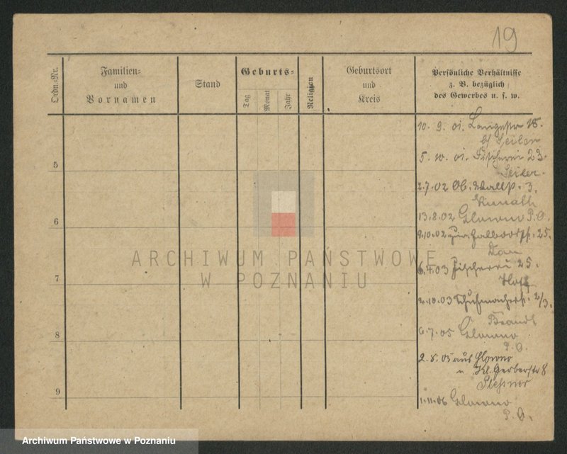 Obraz 19 z jednostki "Herman - Hermyła"