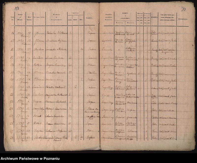 Obraz 13 z jednostki "Księga urodzeń, małżeństw i zgonów"