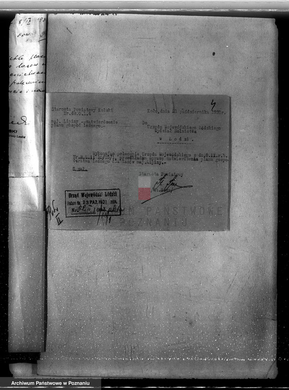 Obraz 9 z jednostki "Zatwierdzenie projektu planu gospodarstwa leśnego dla lasów majątku Lipiny powiatu kolskiego"