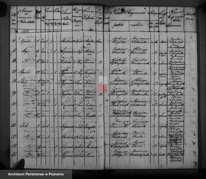image.from.unit.number "Księga urodzeń, małżeństw i zgonów"