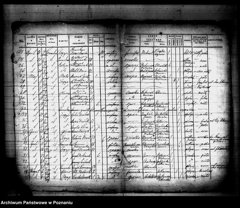 Obraz 3 z jednostki "Księga zgonów"