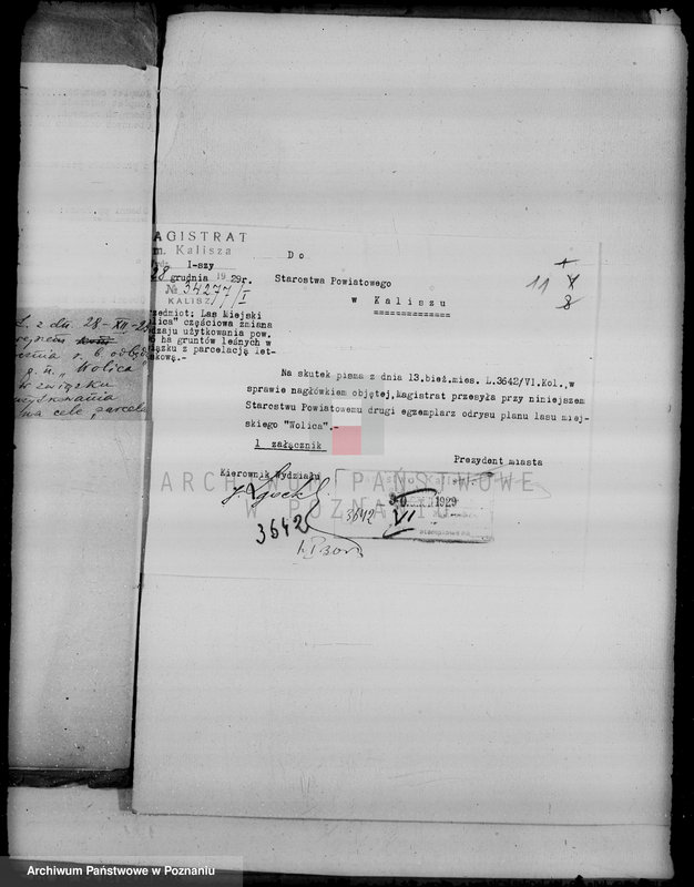 Obraz 15 z jednostki "Sprawa częściowej zmiany użytkowania 196,08 ha gruntów leśnych miasta Kalisza dla celów parcelacji letniskowej"