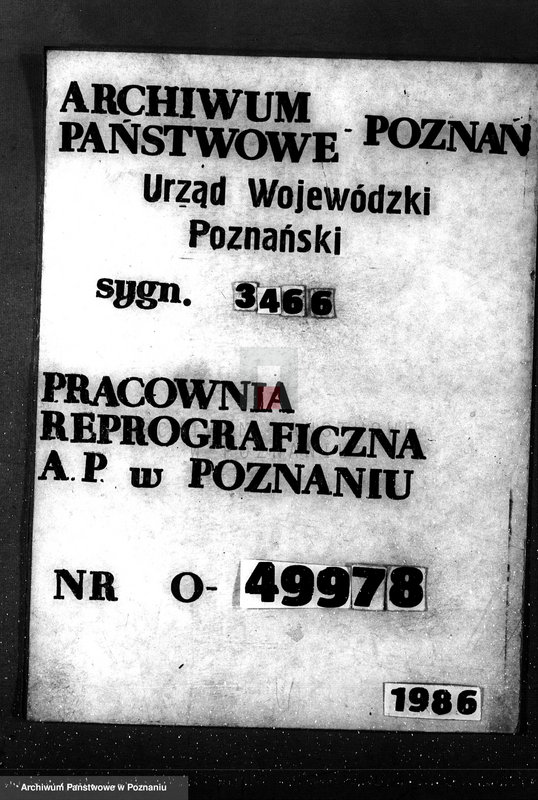 Obraz 1 z jednostki "Las majętności Bieczyny powiat kościański"