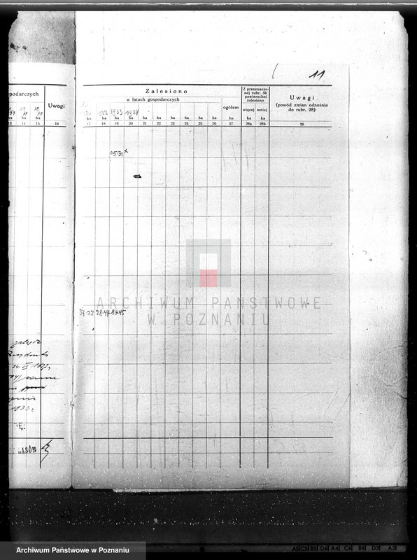 Obraz 15 z jednostki "Plan urządzenia gospodarstwa leśnego dla lasu majętności Nowy Dwór w powiecie nowotomyskim 1930-1940"