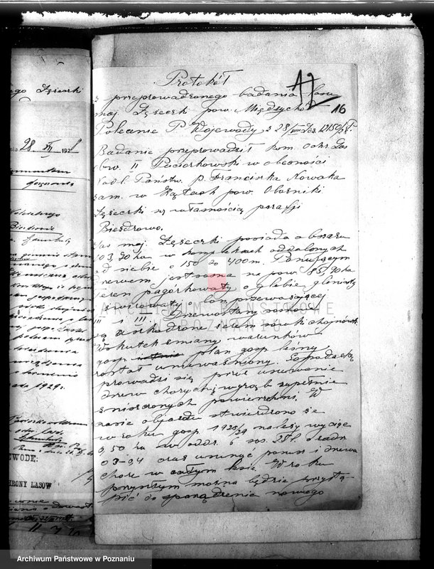 Obraz 20 z jednostki "Kościół katolicki Biezdrowo Łężeczki powiat międzychodzki /nadzór nad gospodarką leśną/"