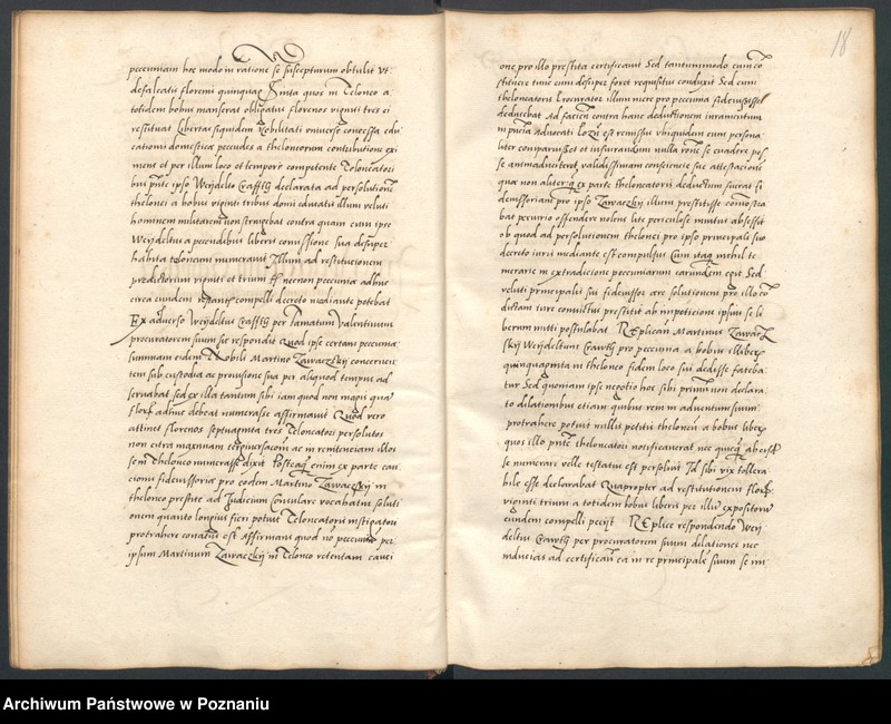 Obraz 19 z jednostki "Liber controversiarum coram consulatu Posnaniensi actarum ..."