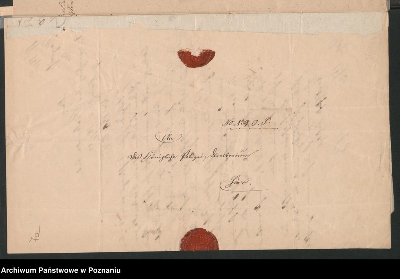 Obraz 11 z jednostki "A. betr. Marianna von Bolewska"