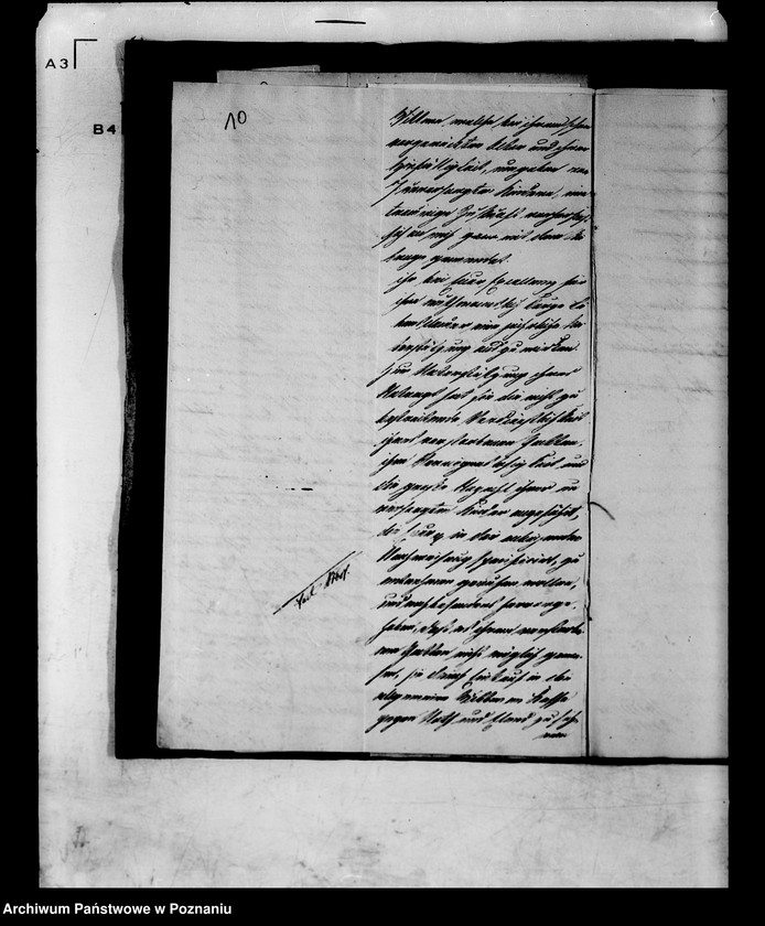 Obraz 14 z jednostki "Die für die Witwe des verstorbenen Regierungssekrätars Ziegler nachgesuchte Pension oder fortdauernde Unterstützung."