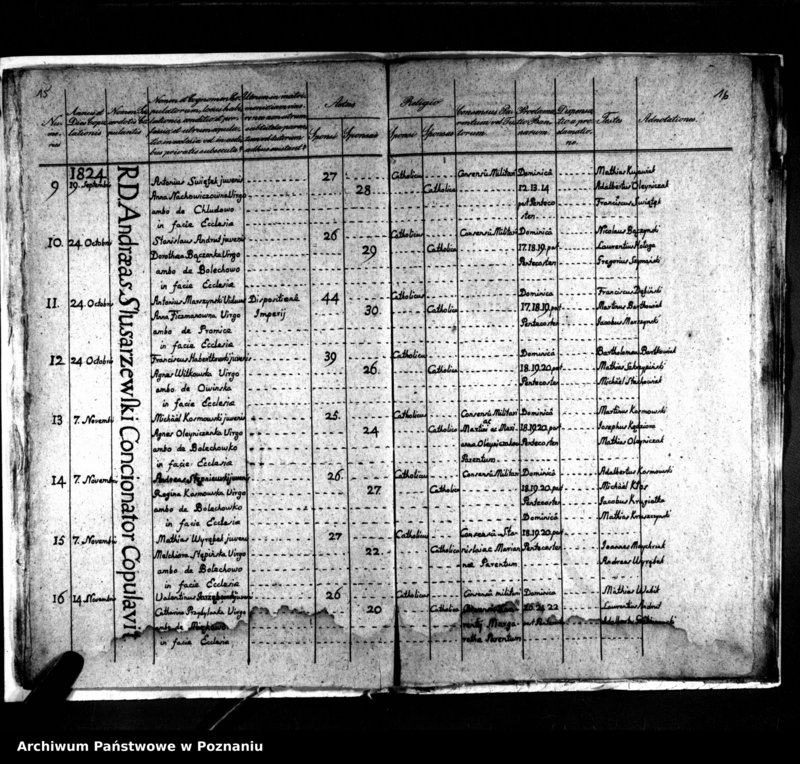 Obraz 11 z jednostki "Duplikat natorum, copulatorum, mortuorum"