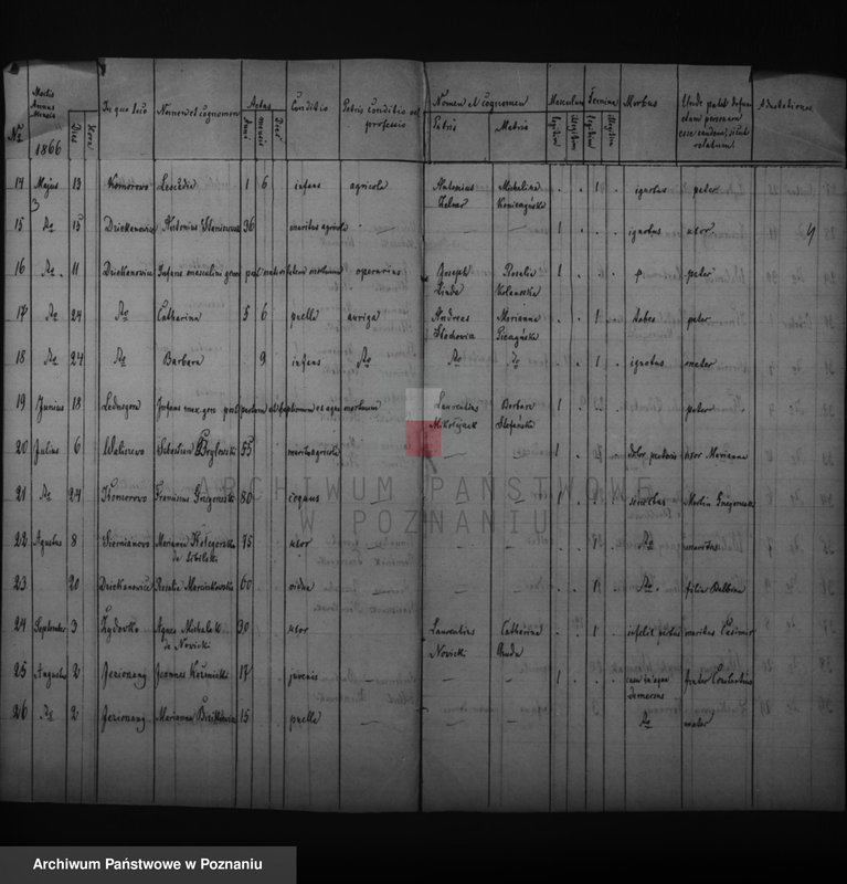 image.from.unit.number "Duplikat zmarłych"