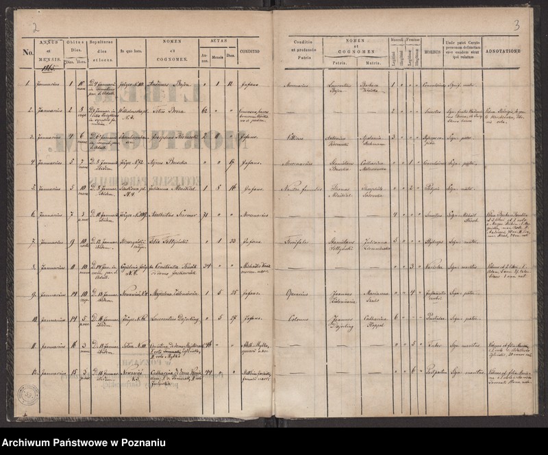Obraz 4 z jednostki "Księga zgonów"