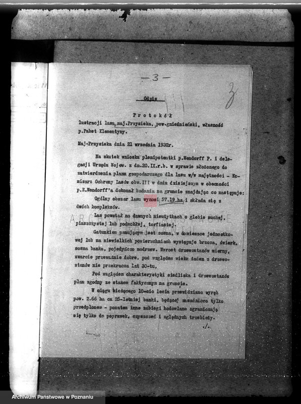 Obraz 7 z jednostki "Nadzór nad gospodarką w lasach majętności Przysieka powiecie gnieźnieńskim"