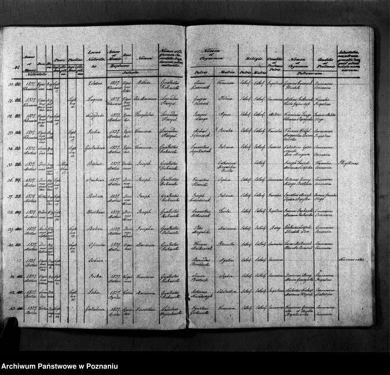 Obraz 14 z jednostki "Duplicatum copulatorum, baptisatorum, mortuorum"