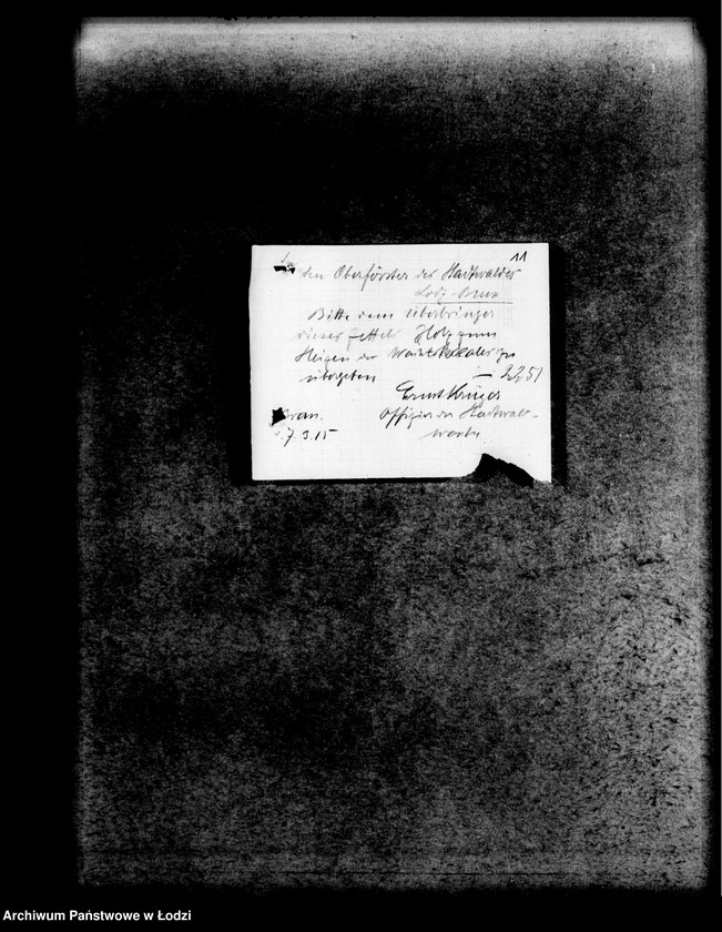 Obraz 14 z jednostki "Dokumenty dotyczące władz niemieckich [drzewo]"