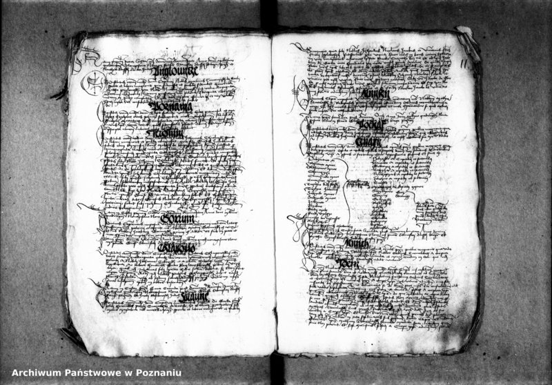 Obraz 16 z jednostki "Inscriptiones, relationes, decreta [inducta]"