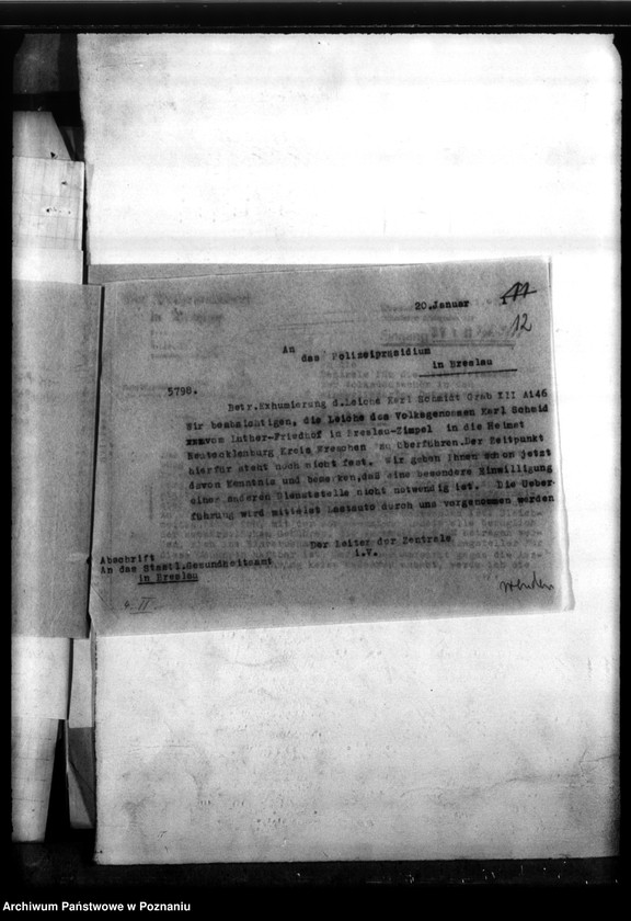 Obraz 17 z jednostki "Karol Schmidt - Neutecklenburg (powiat Września)"