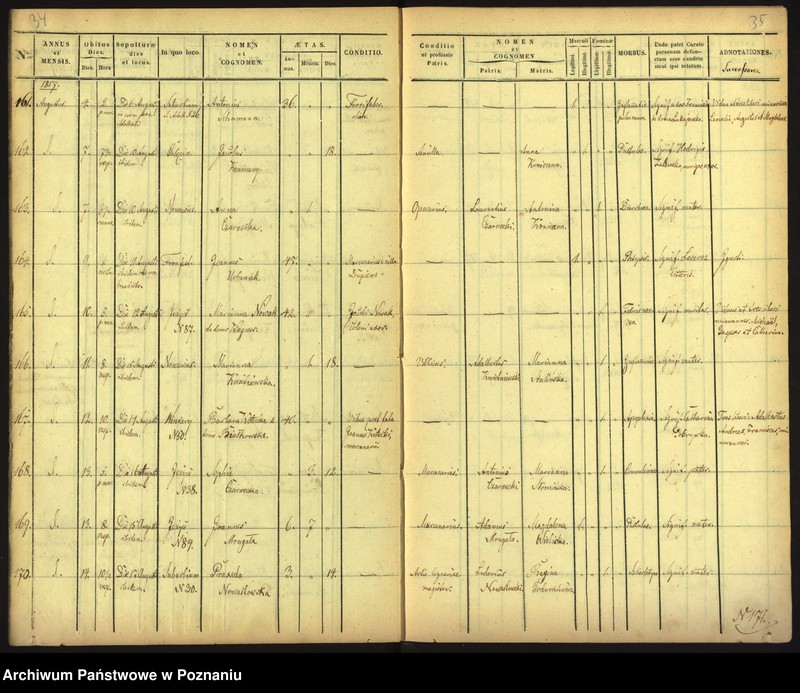 Obraz 20 z jednostki "Księga zgonów"