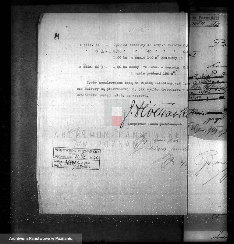 Obraz 18 z jednostki "Majętność leśna Brodowo powiat średzki"