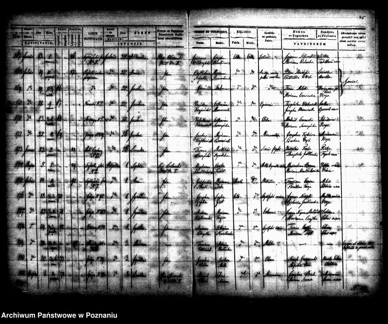 Obraz 16 z jednostki "Księga urodzin"