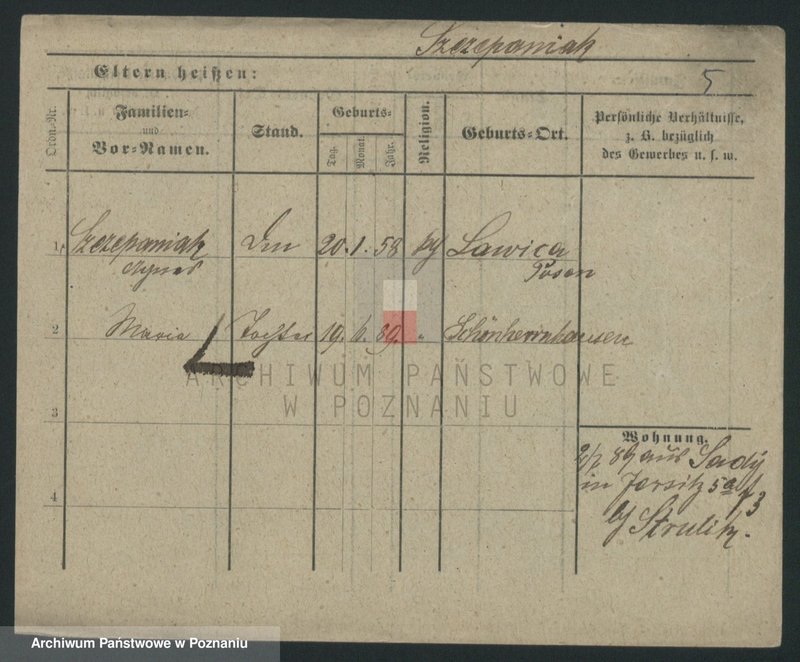 image.from.unit.number "Szczepaniak (samotne kobiety) - Szczepański"