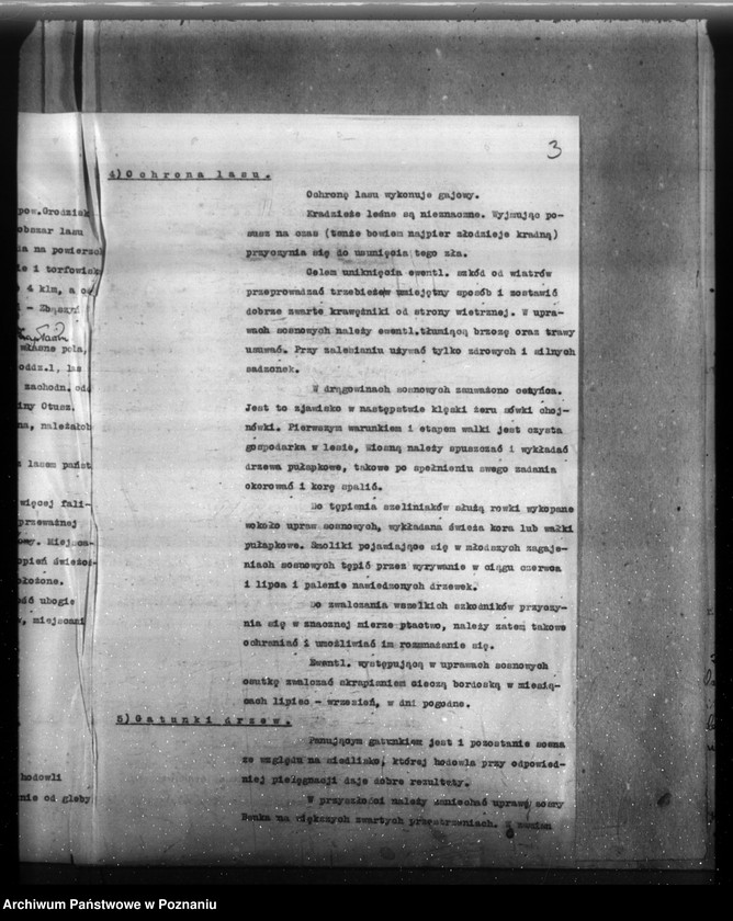 Obraz 7 z jednostki "Majątek Cieśle powiat grodziski /Nadzór nad gospodarką leśną/"